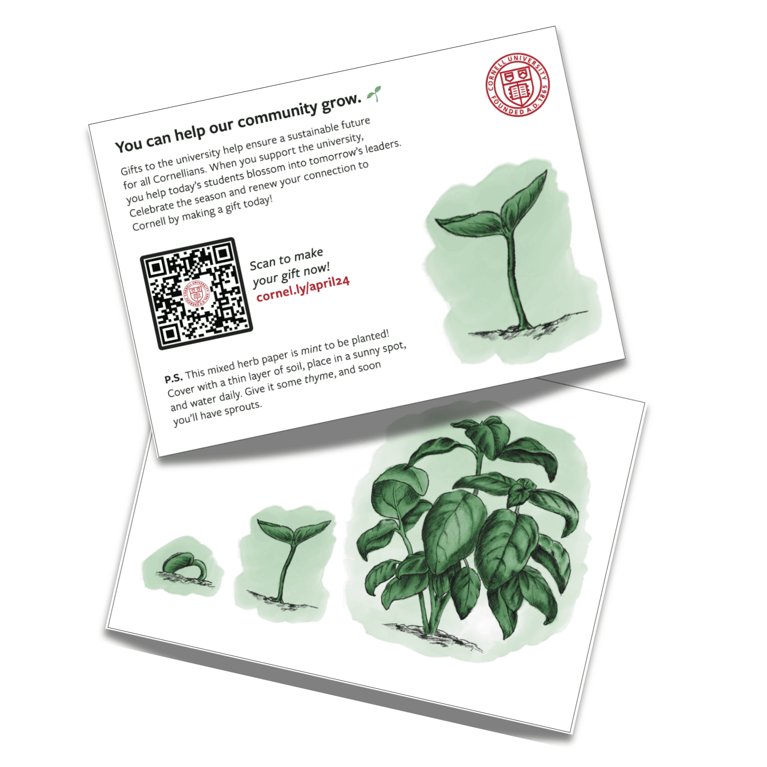 Sustainable eco-friendly mail pieces for collegiate engagement