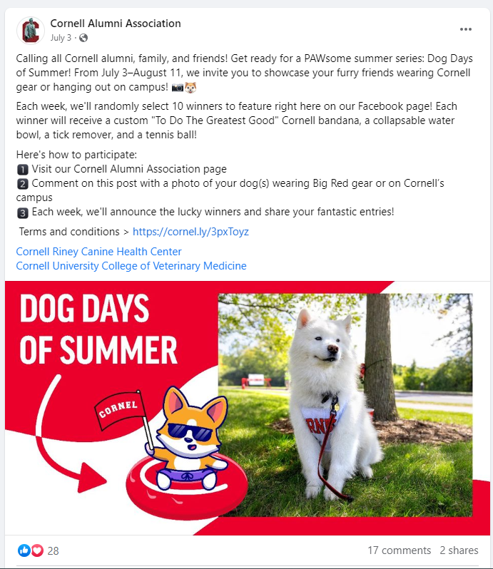 Pets and Alumni Engagement